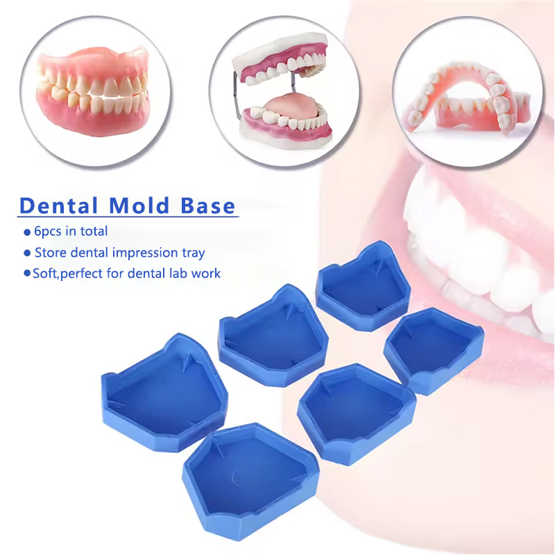 2/6 Buah Model Gigi Dasar Sili - Model Kit Tool Set ulasan dan harga
