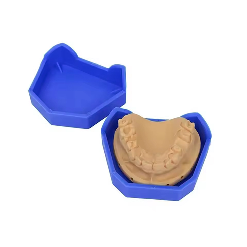 2/6 Buah Model Gigi Dasar Sili - Model Kit Tool Set ulasan dan harga
