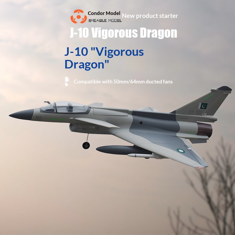 Pesawat Jet Tempur RC SH-EAGLE - Model Kit Dragon ulasan dan harga